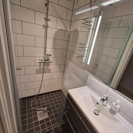 Vakantiehuis Spacious With 3 Bedrooms, 2 Bathrooms And Sauna In 220m2 *